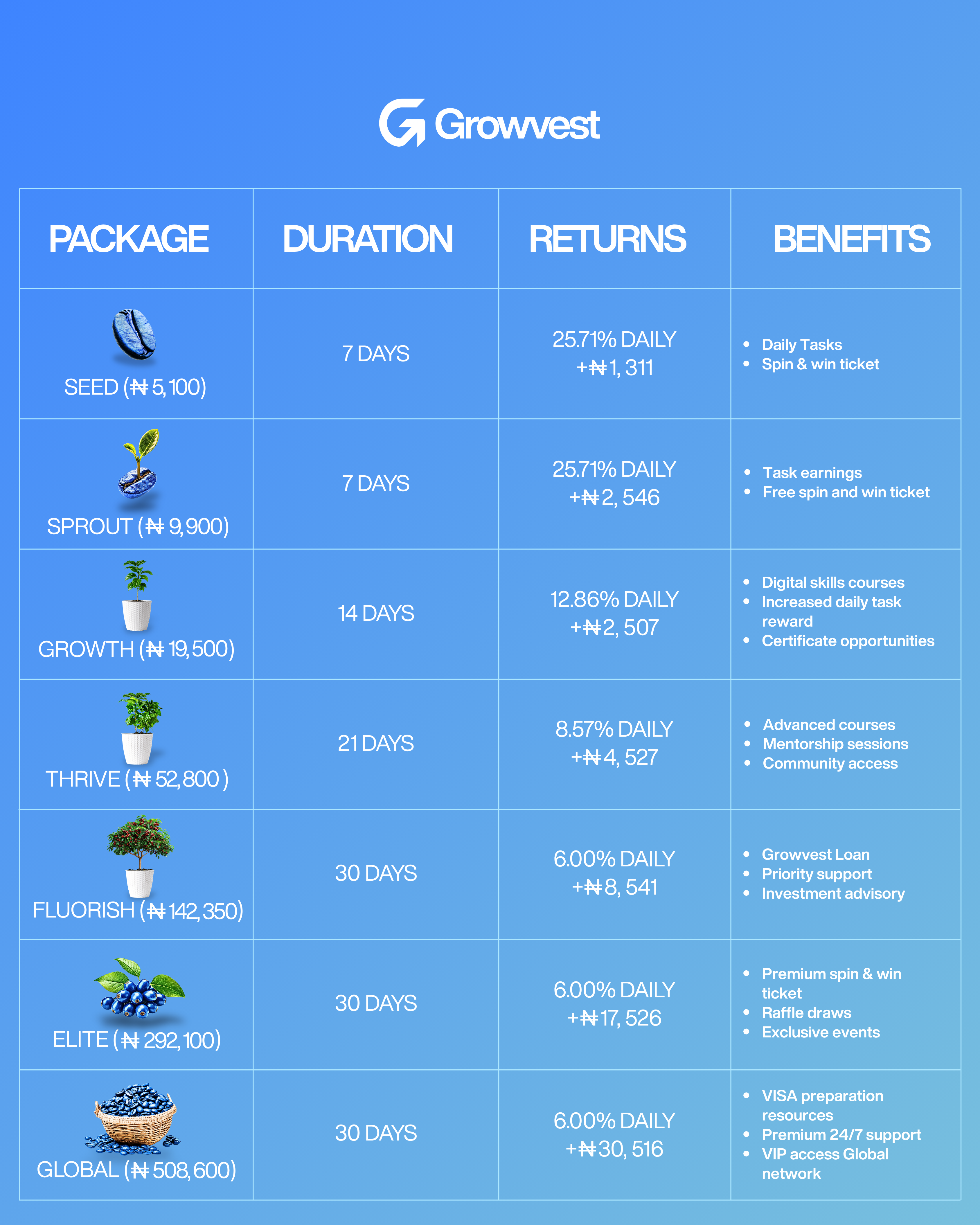 Investment Packages